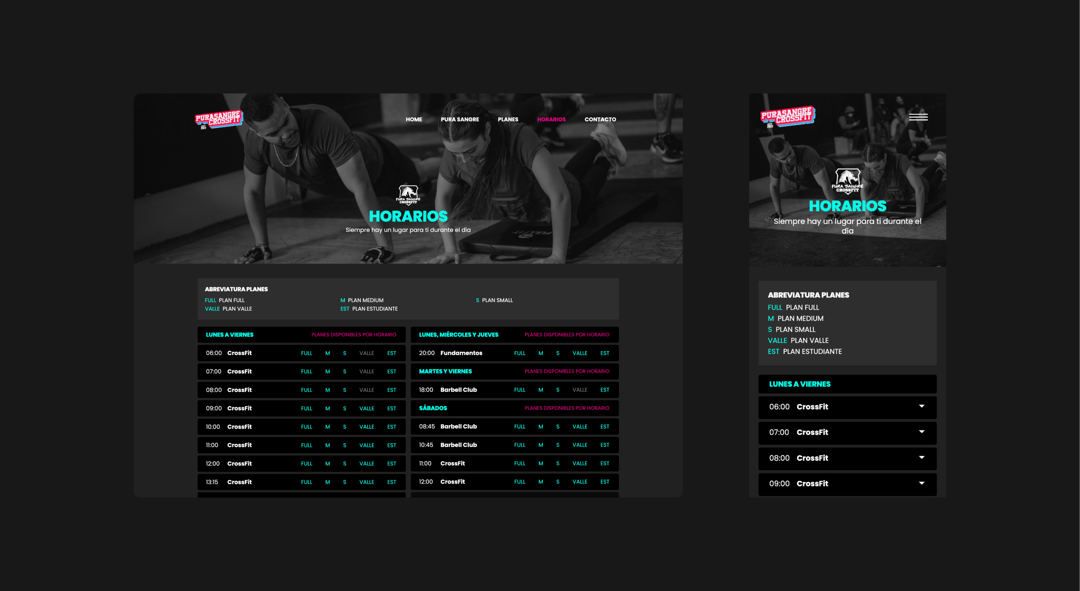 Pura Sangre CrossFit - imagen 2