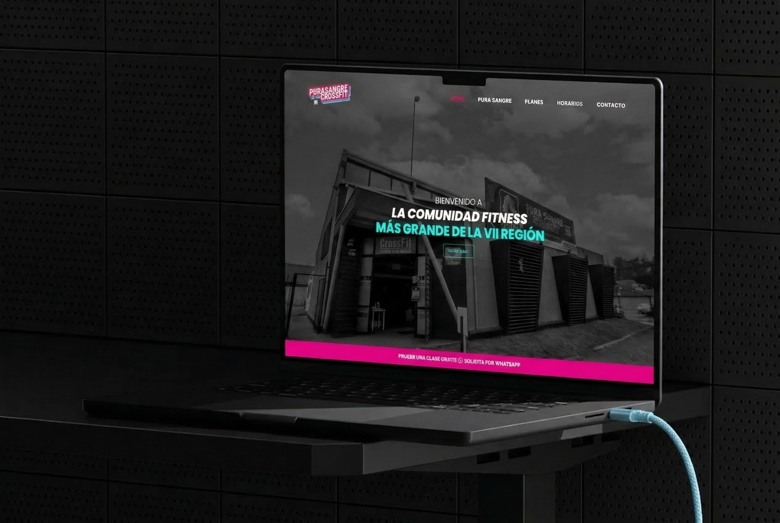 Pura Sangre CrossFit